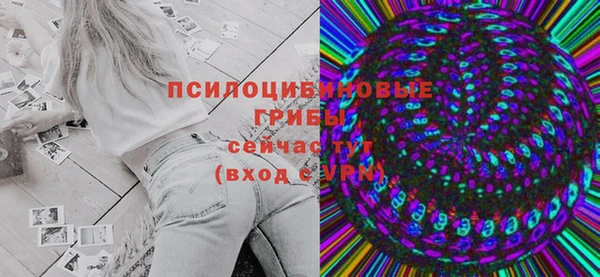 прущий лед Арсеньев