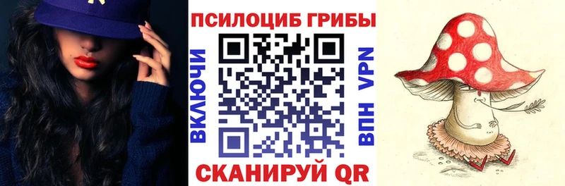 как найти   Бавлы  Псилоцибиновые грибы Magic Shrooms 
